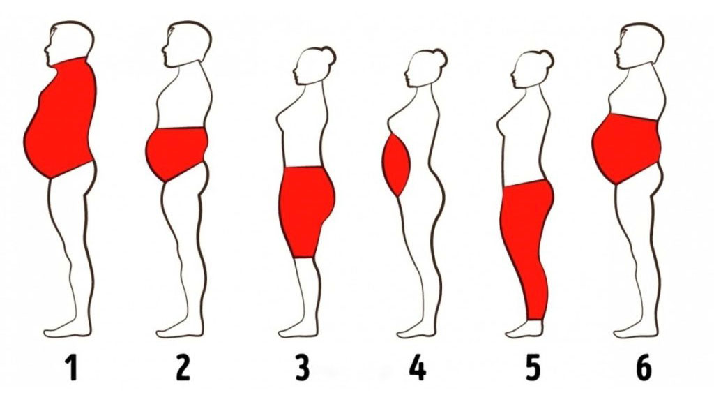 fat type