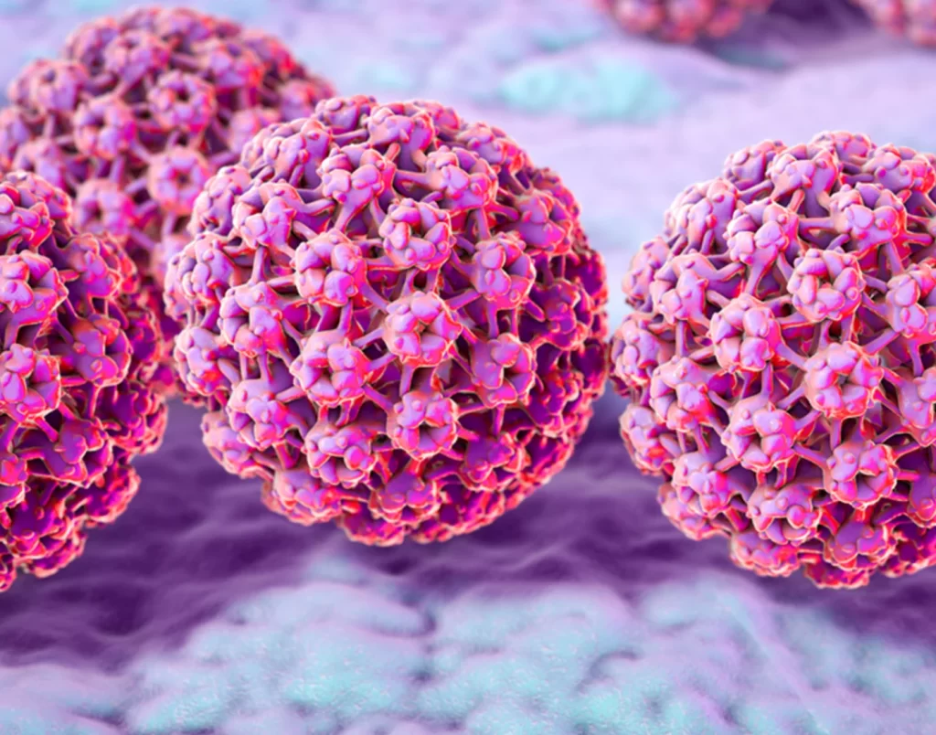 hpv virus