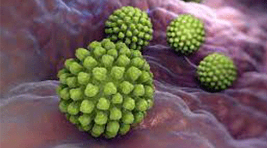 ROTAVIRUS